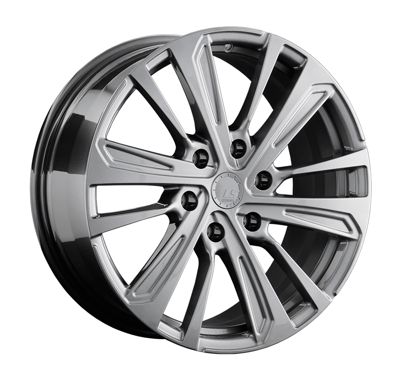 LS FG19